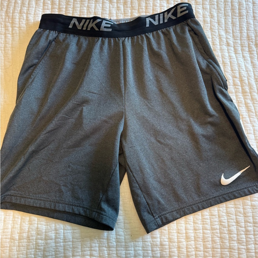 Nike Men's Gray Performance Shorts